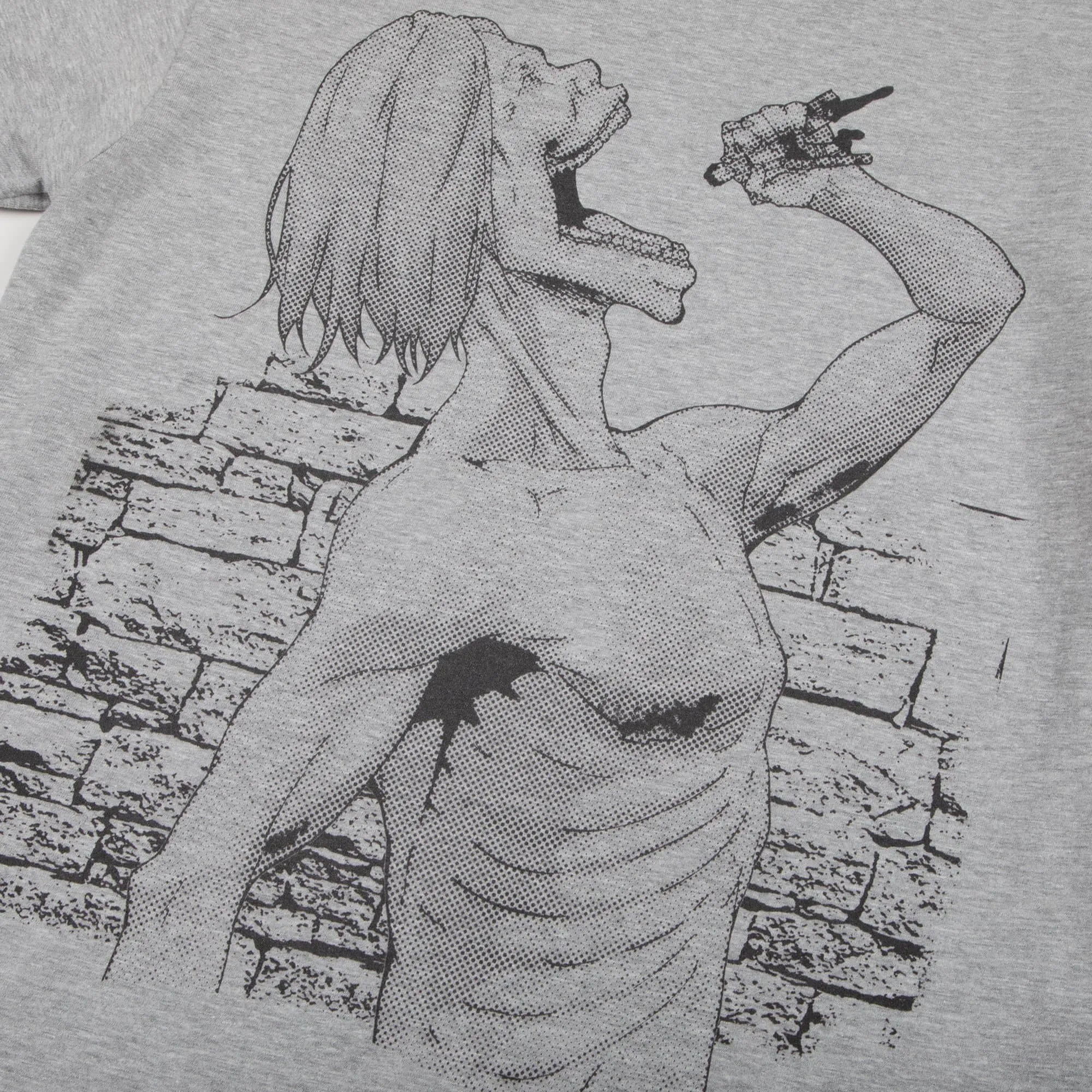 Female Titan Consume Grey Tee