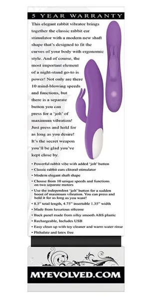 (wd) Romantic Rabbit Purple Vibrator